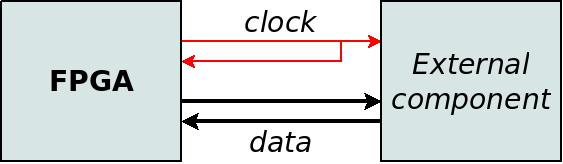 Source synchronous bidirectional data with loopback of clock